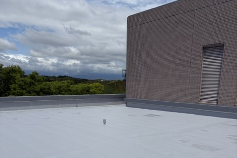 �j�������Q�擏�̉���̎ʐ^