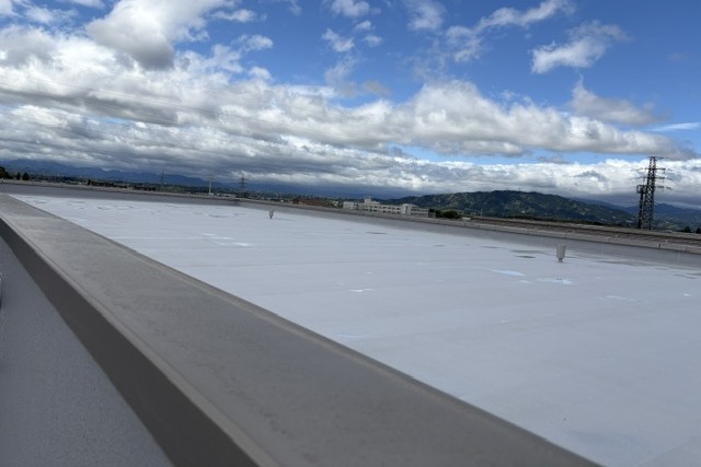 ���U�w�K�����~�`�ȊO�̉���̎ʐ^