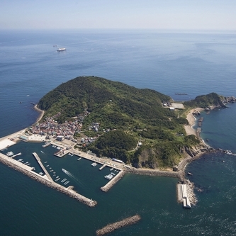 神島の航空写真