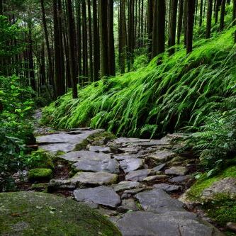 熊野古道
