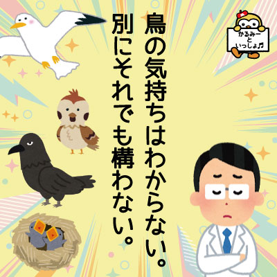 冬のかるみーといっしょ♬は「鳥」のスペシャリストによる魅力あふれる「鳥」の世界をクローズアップ!
