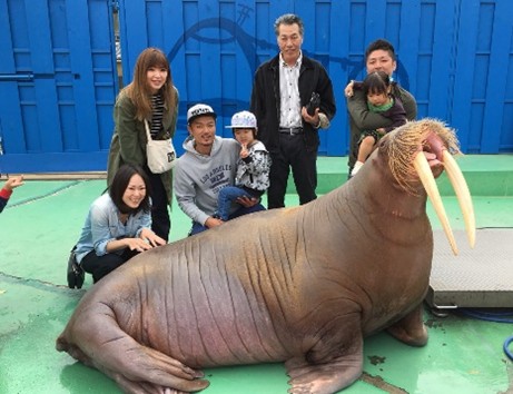 伊勢シーパラダイスの様子