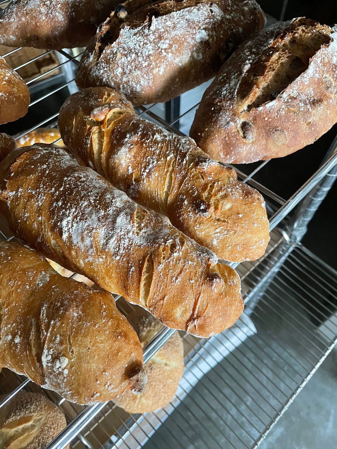 ぺトラントーヤマ写真1