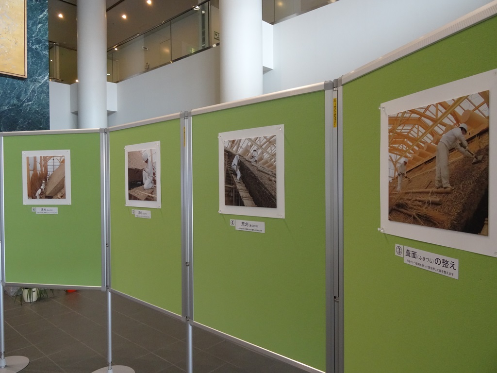 展示の様子