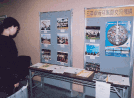 展示2