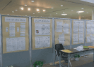 展示3