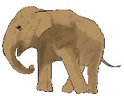 ぞう