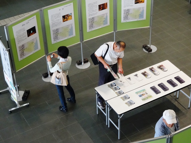 展示
