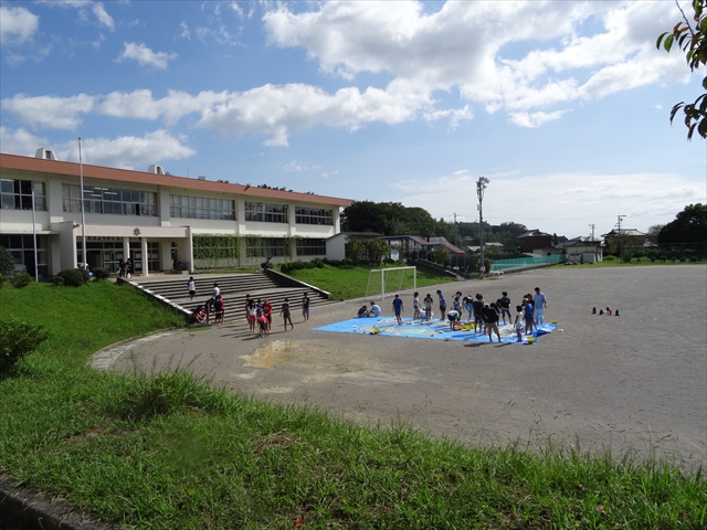 樹魚の様子