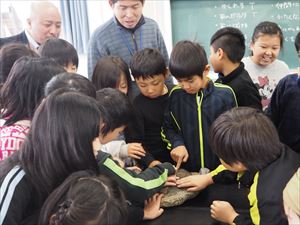 答えは化石が語る