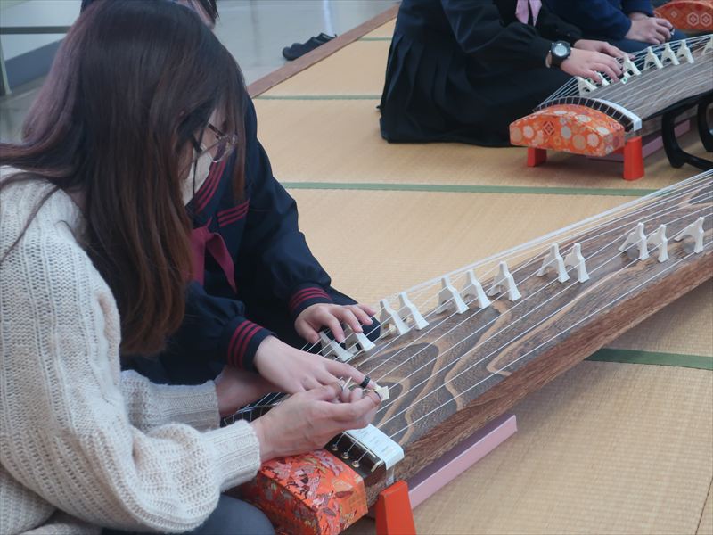 箏を触る