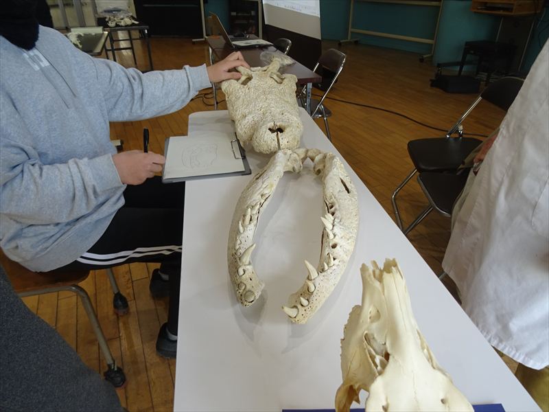 骨ホネ講座