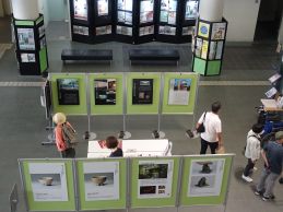 展示