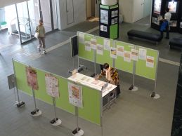 展示