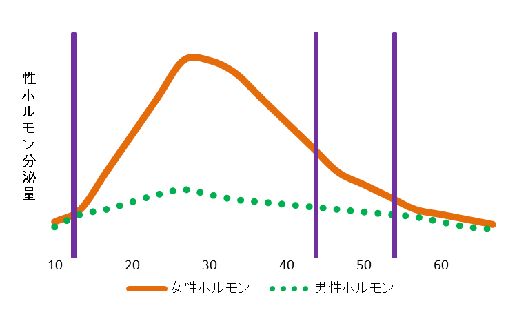 性ホルモンの年齢変化