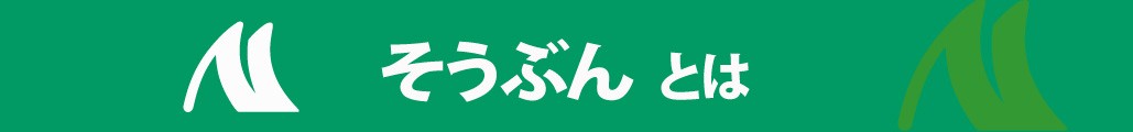 そうぶんとは