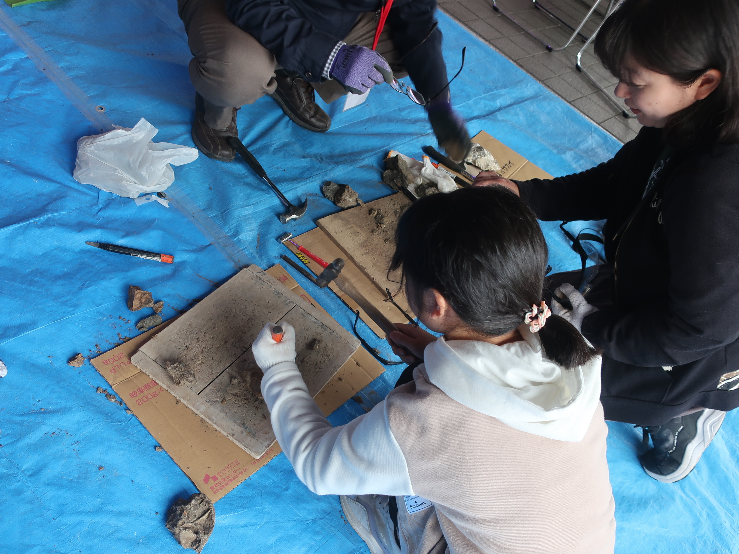 化石発掘体験！