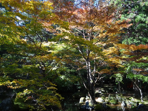 北畠神社の紅葉